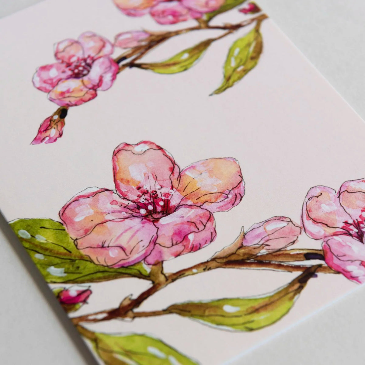 Cherry Blossom Spring Greeting Card